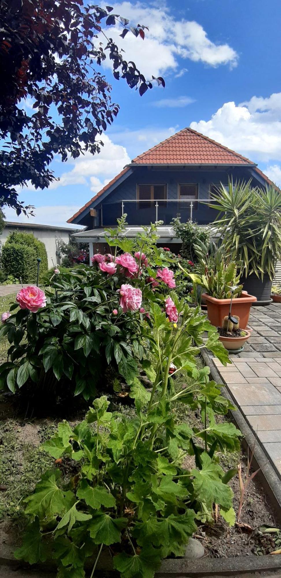 Ferienwohnung Relax Ilsenburg Extérieur photo